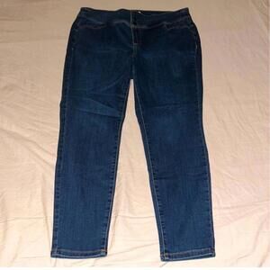 Lane Bryant Jeans High Rise Jegging sz 18